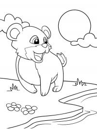 Urso risonho