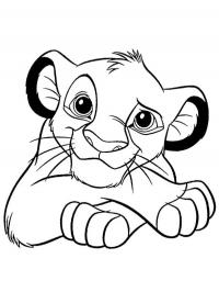 Simba filhote