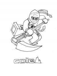 LEGO Ninjago Cole
