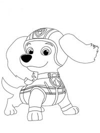 Dachshund Liberty da Patrulha Canina