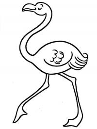 Flamingo andando