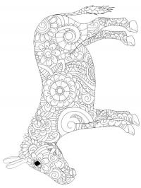 Mandala de burro