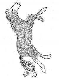 Mandala de cavalo