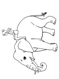 Menina em um elefante