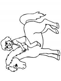 Menina andando a cavalo