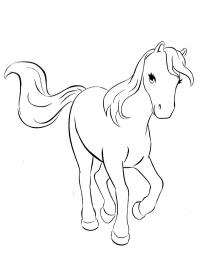 Cavalo Bella da Mia