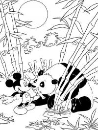 Mickey Mouse e panda