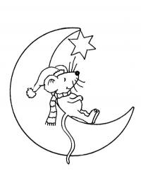 Rato na lua