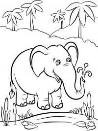 Elefante na água