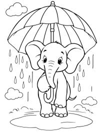Elefante segurando um guarda-chuva na chuva
