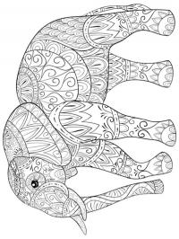 Elefante para adultos