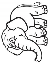 Elefante