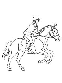 Cavalo galopando com cavaleiro