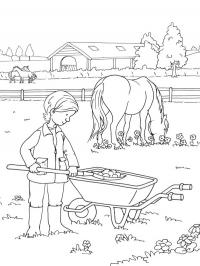 Cavalo na fazenda