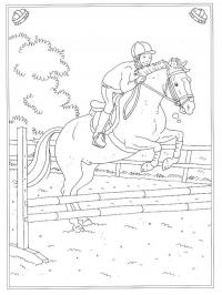 Cavalo saltando