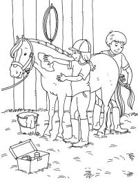 Cuidando de um cavalo