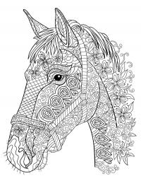 Cabeça de cavalo para adultos