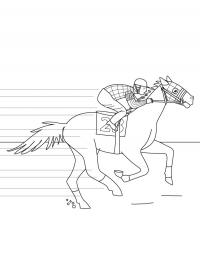 Corrida de cavalos