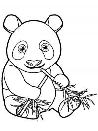 Panda comendo bambu