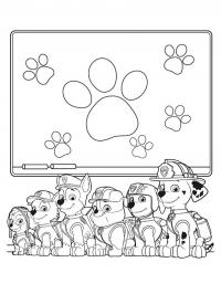 Equipe Patrulha Canina