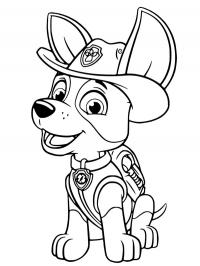 Tracker da Patrulha Canina