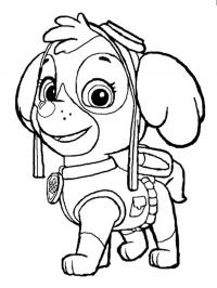 Skye da Patrulha Canina