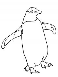 Pinguim