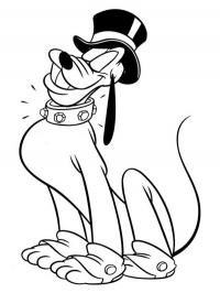 Pluto com chapéu
