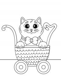 Gato no carrinho de bebê