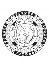 Mandala de gato
