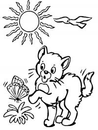 Gatinho brinca com borboleta