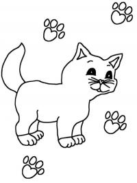 Gatinho