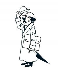 Professor Girassol