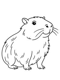 Capivara realista