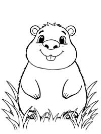 Capivara fofa