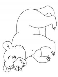 Urso polar fofo