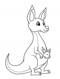 Canguru fofinho com filhote
