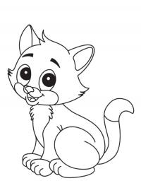 Gatinho fofo