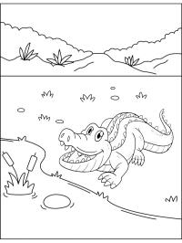 Crocodilo fofo