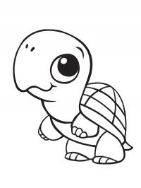 Tartaruga fofa
