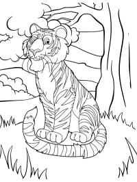 Tigre fofinho
