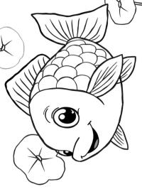 Peixe fofinho