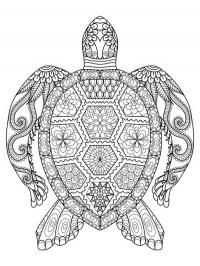 Tatuagem de mandala de tartaruga