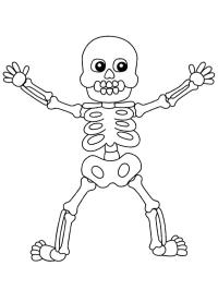Esqueleto humano de Halloween