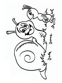 Caracol e formiga