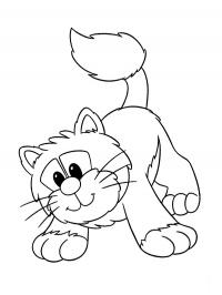 Jess, o gato