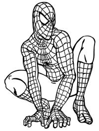 Homem-Aranha Agachado