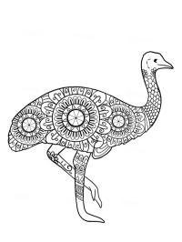 Mandala de avestruz