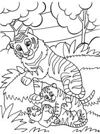filhotes de tigre