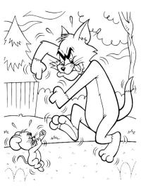 Tom e Jerry brigando